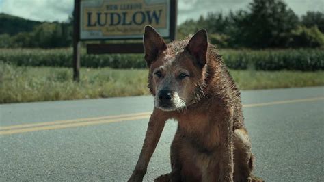 Pet Sematary: Bloodlines (Trailer) .